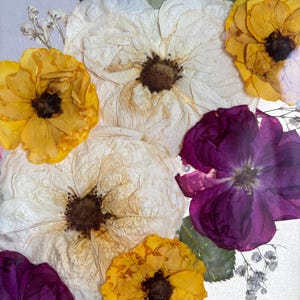 Puede incluir: Arreglo floral enmarcado con flores prensadas en tonos blancos, amarillos y morados. El arreglo incluye grandes flores abiertas y flores de acento m&aacute;s peque&ntilde;as, sobre un fondo claro con elementos decorativos.