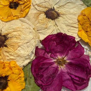 Puede incluir: Primer plano de flores secas en tonos amarillo, crema y magenta intenso. El arreglo incluye varias flores grandes y abiertas con texturas detalladas y estambres visibles. Los p&eacute;talos muestran signos de secado natural.