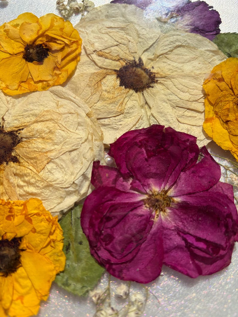 Puede incluir: Primer plano de flores secas en tonos amarillo, crema y magenta intenso. El arreglo incluye varias flores grandes y abiertas con texturas detalladas y estambres visibles. Los p&eacute;talos muestran signos de secado natural.