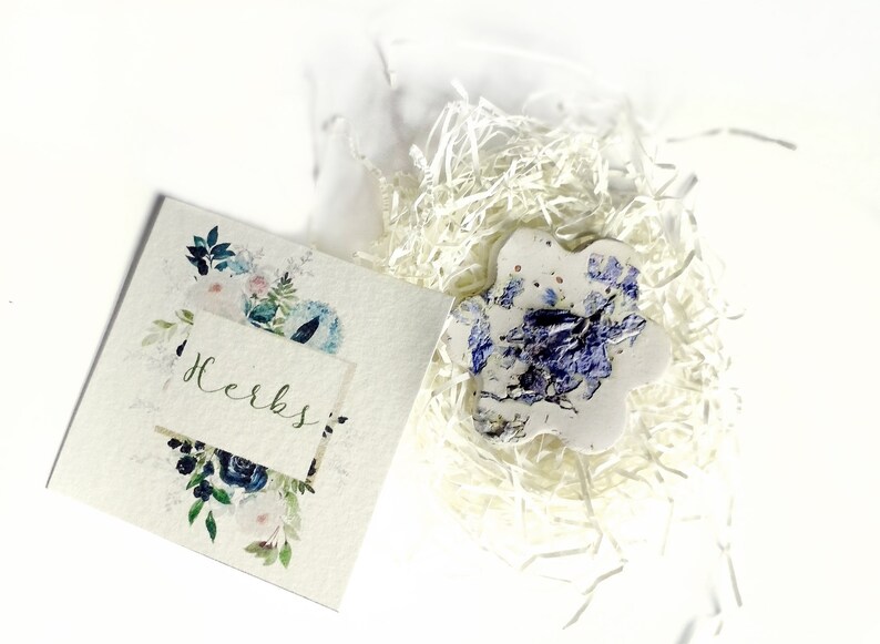 Botanical Wedding Favor Seed Bombs 80 DIY Wedding Favor Seed Bombs with Personalized Cards Bags ALL you Need! Filler