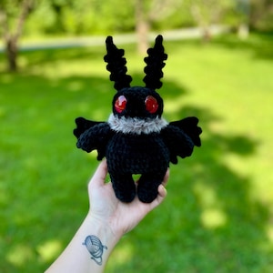 May include: A handmade black crochet moth plushie with red eyes and a fluffy gray collar. The plushie has small wings and antenna. The plushie is being held in front of a green background.