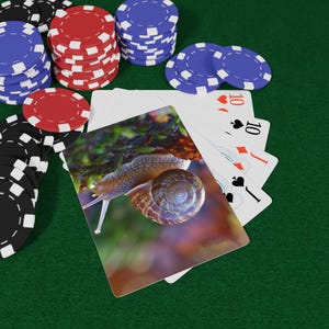 Jeu de cartes escargots - jeu lent et stable, cartes d'art jardin fantaisiste, lot de poker inspiré de la nature, cadeau pour les amoureux des animaux et les passionnés