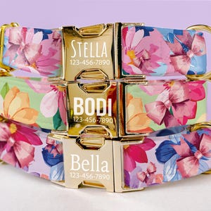 Coquette Dog Collar Personalized Girl Dog Collar Floral Bow Collar with Name Collar Leash Engraved Pet Name Girl Dog Collar Mothers Day Gift