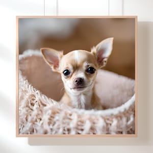 Chihuahua Puppy Art Print: Cozy Basket, Dog Lover Gift (Digital Download)