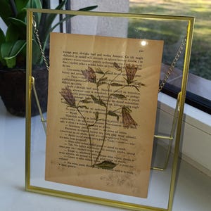 Regalo d'atmosfera vintage, set di 2 foto, disegno originale, pagine di un libro antico in una cornice dorata. Idea regalo glamour. Fornito con cornice