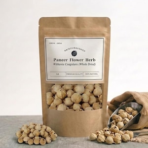 Paneer Dodi Entier Withania Coagulans Présure Indienne Paneer Phool Naturel