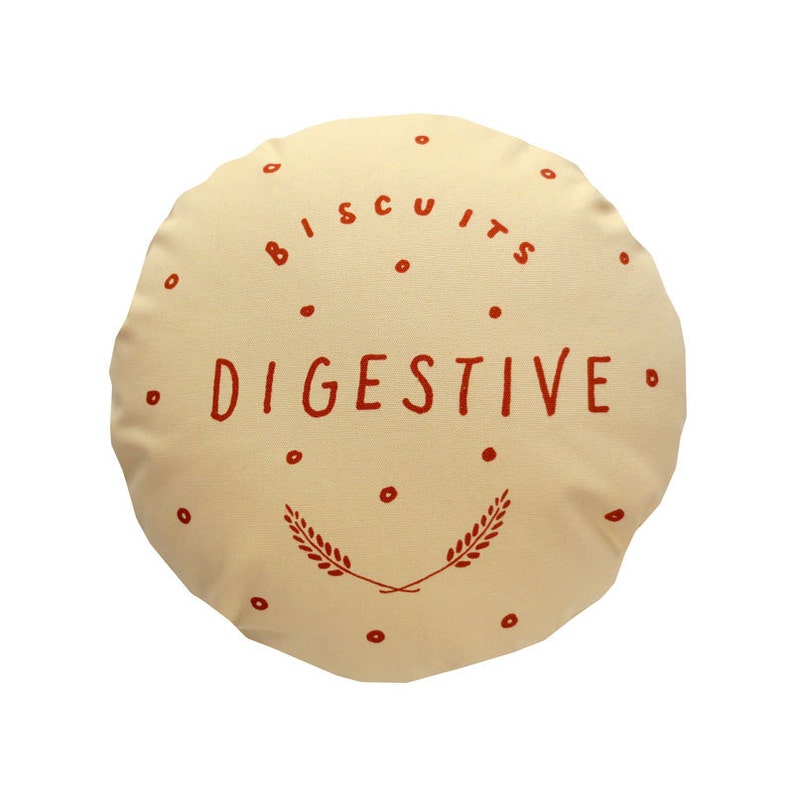 Chocolate Digestive Printed Cushion / Biscuit Cushion Cookie Pillow image 3