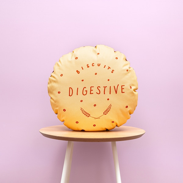 Chocolate Digestive Printed Cushion / Biscuit Cushion - Cookie Pillow