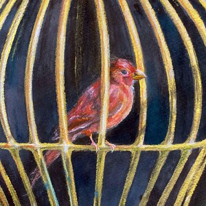 Op de afbeelding: Een felrode vogel zit in een gouden kooi met verticale spijlen tegen een donkerblauwe achtergrond. De vogel heeft een kleine gele snavel en gedetailleerd verenkleed, terwijl de kooispijlen zijn voorzien van gouden accenten.
