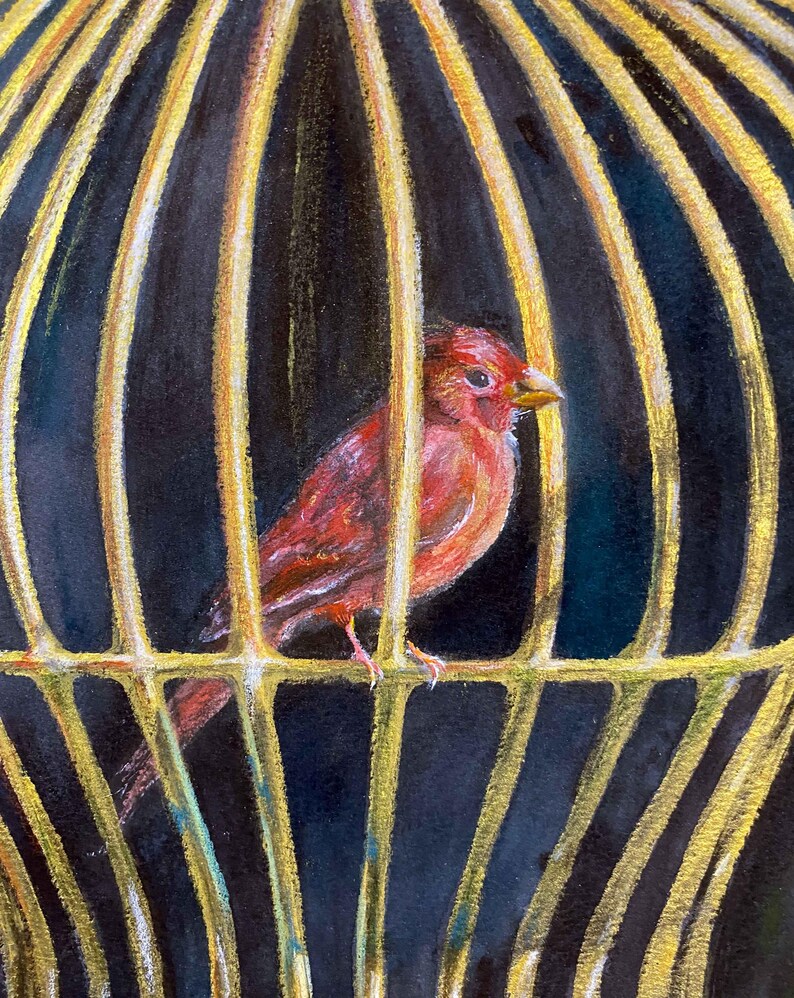 Op de afbeelding: Een felrode vogel zit in een gouden kooi met verticale spijlen tegen een donkerblauwe achtergrond. De vogel heeft een kleine gele snavel en gedetailleerd verenkleed, terwijl de kooispijlen zijn voorzien van gouden accenten.