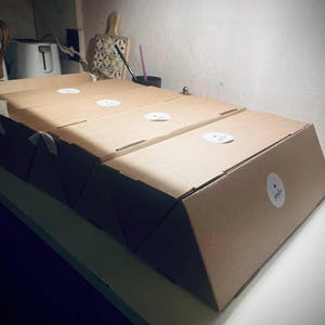 Puede incluir: Tres cajas rectangulares de cart&oacute;n marr&oacute;n dispuestas en fila. Cada caja presenta una pegatina circular blanca en la tapa superior y una pegatina circular blanca a juego en la parte frontal. Las cajas tienen una estructura plegada con paneles.