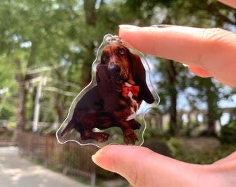 Personalized Pet Photo Acrylic Keychain, Custom Pet Memorial Gift, Dog Memorial Gift,Dog Keychain, Cat Keychain, Pet Photo Keyring