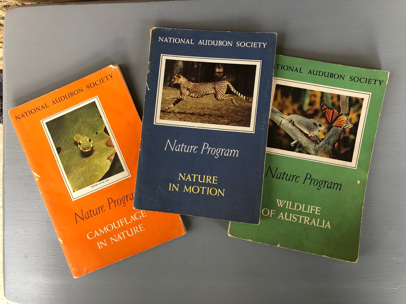 Vintage Audubon Society Books Audobon Society Nature Etsy