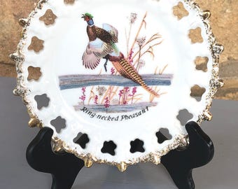 Vintage Ring-necked Pheasant Plate – Mid-century Gold Trim Decor