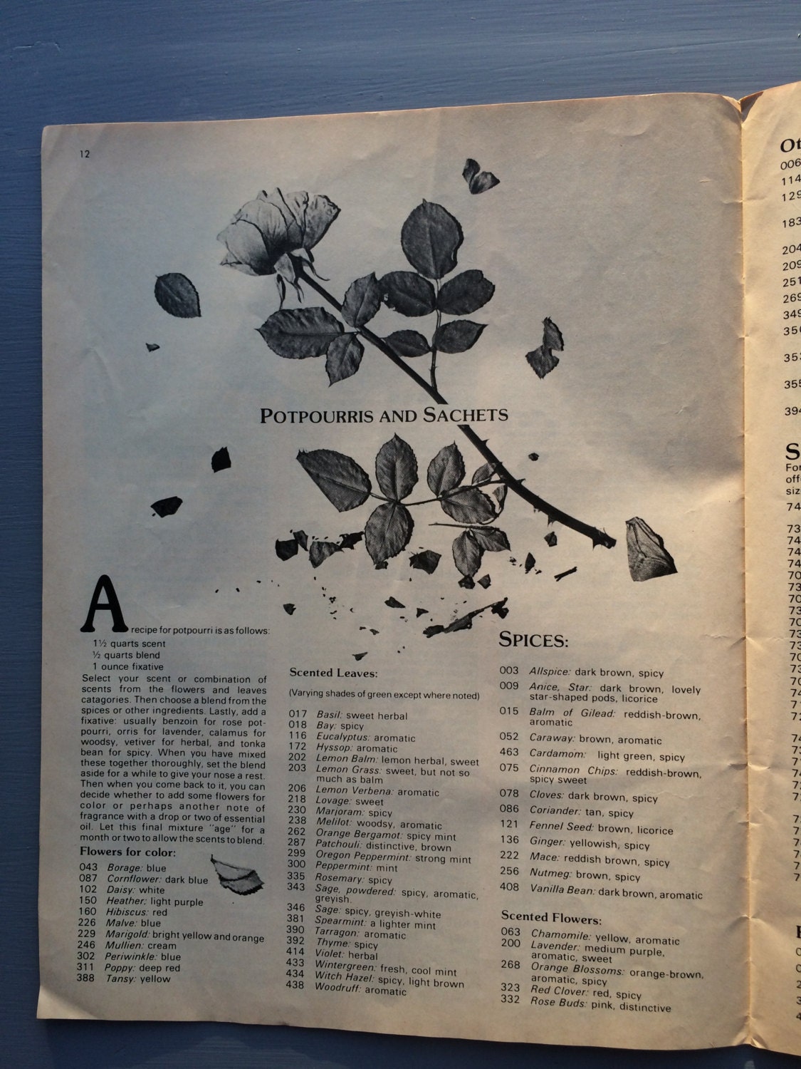 1981 Herbal Effect Catalog 198182 Herb Catalog Herbal Etsy España