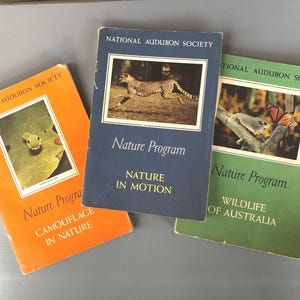 Vintage Audubon Society Books – 1950s Nature Program Series