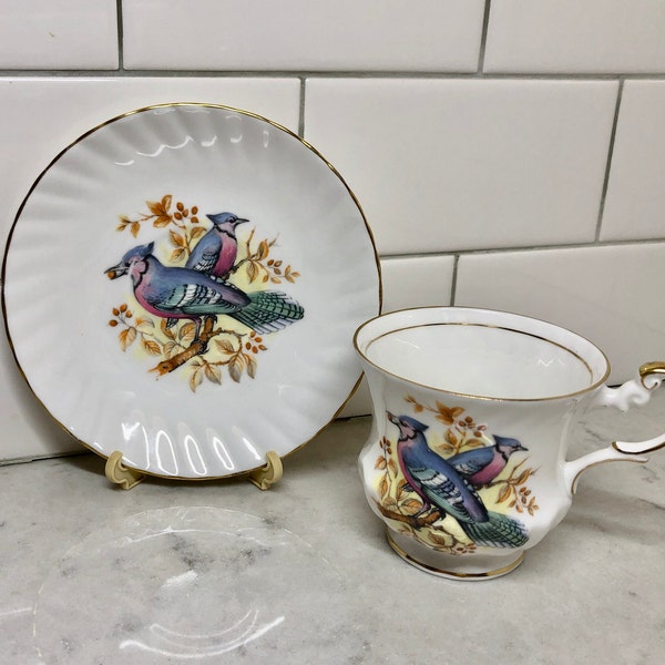 Vintage Rosina China Bluejay Teacup and Saucer - Birds of America Series 1 - Queens - Made in England - Bluejay  Teacup and Saucer - Birds