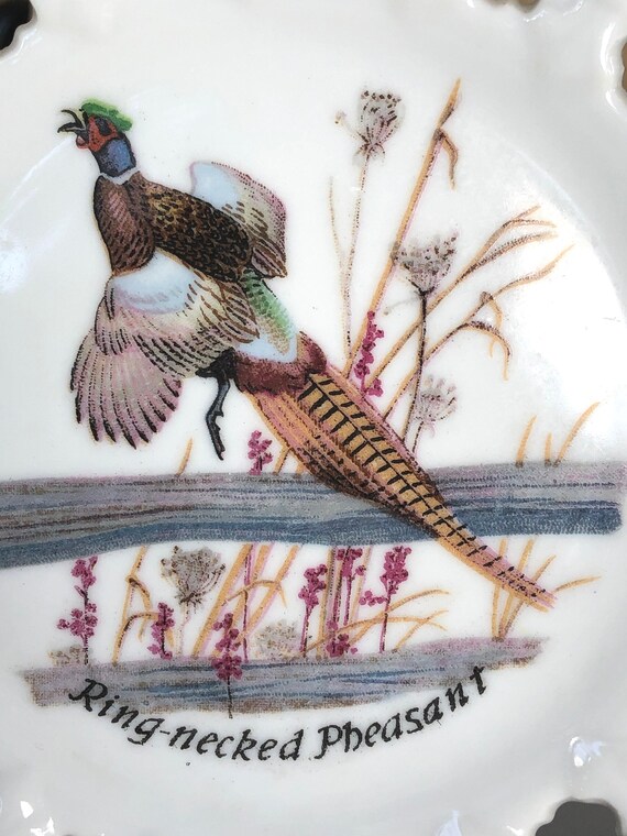 Vintage Ring-necked Pheasant Plate – Mid-century Gold Trim Decor