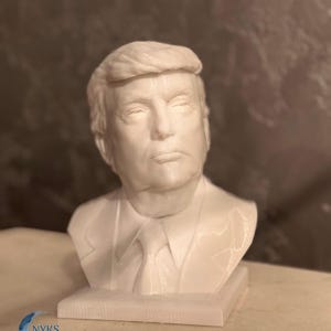 Donald Trump Bust, 3D Printed Statue, US President Sculpture, Epic Gift for Political Enthusiasts, Political Memorabilia, Desktop Organizer