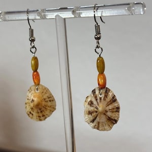 Handmade real mussel shell earrings with stainless steel, sea real shells,Handmade mussel shells seashell