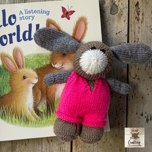 May include: A hand-knitted stuffed animal shaped like a rabbit with long gray ears, a brown head, a white muzzle, and a bright pink jumpsuit. The rabbit is positioned in front of a book titled Hello World A listening story with a rabbit illustration.