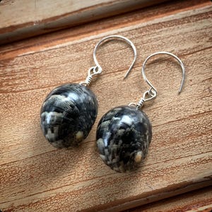 May include: A pair of silver dangle earrings with black and white shell pendants. The shells have a natural, organic pattern.