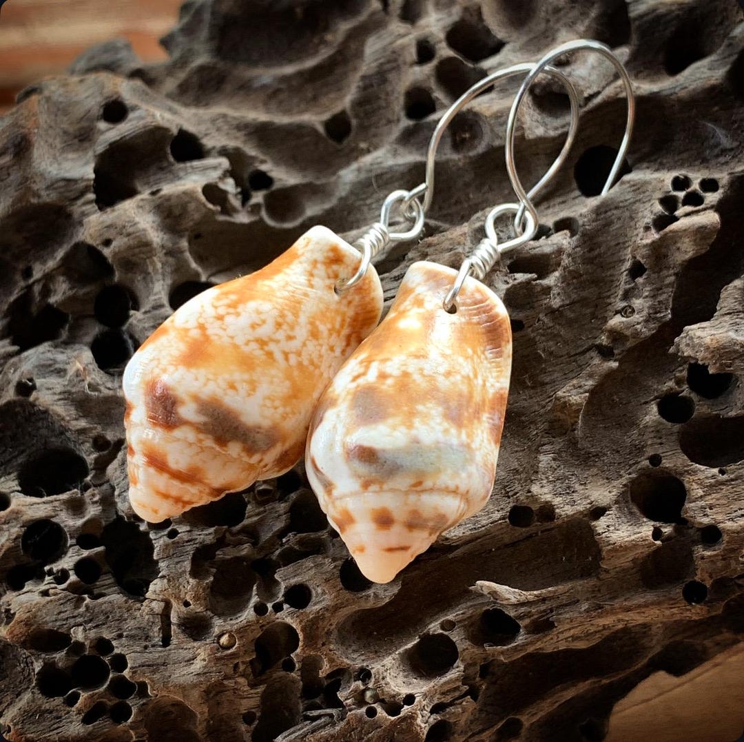 Hawaiian Ali’lea Shell Earrings Wrapped in Sterling Silver on Sterling ...