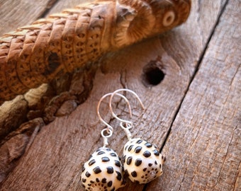 Hawaiian spotted drupe shell earrings on sterling silver