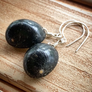 May include: A pair of earrings featuring black shell pendants with silver hooks. The shells have a smooth, glossy finish and a subtle iridescent sheen.