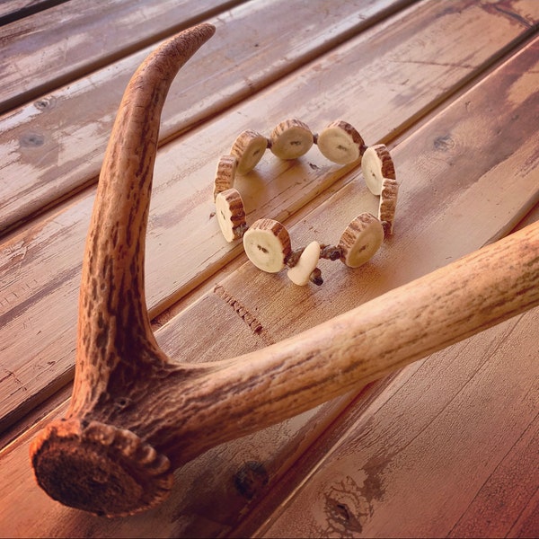 Axis Deer Antler Etsy
