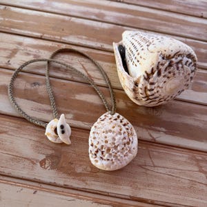May include: A seashell necklace with a large, intricately carved pendant and a smaller, matching clasp. The pendant is white with brown markings, and the necklace cord is a braided, earthy green. A large seashell sits nearby.