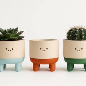 May include: Three ceramic plant pots with a smiling face design. Each pot has a different coloured base: light blue, orange, and green. The pots contain a succulent and a cactus.