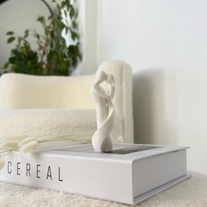 A detailed shot of the Soulmates Lovers Sculpture, highlighting the smooth white finish and intimate connection between the abstract figures, perfect for any romantic home setting.