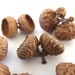 see more listings in the Acorn Caps Nature Things section