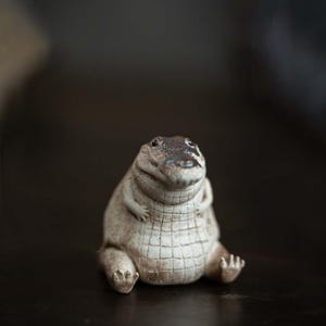 Crocodile Figurine | Cute Alligator Statue | Zen Tea Cap | Zen Statue | Zen Garden | Tea Pet | Crocodile Tea Cap | Ceramic Crocodile