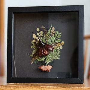Real Rhinoceros Beetle Framed Art with Botanical Background and Crystal | Unique Wall Art