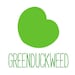 Owner of <a href='https://www.etsy.com/sg-en/shop/greenduckweed?ref=l2-about-shopname&from_page=listing' class='wt-text-link'>greenduckweed</a>