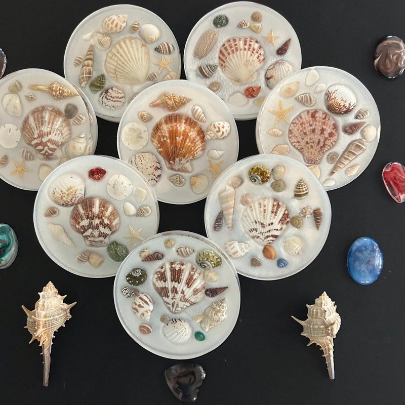 Shell Rim Coasters Seashell Coasters - Etsy