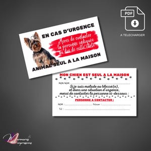 carte d'urgence à télécharger pour organiser la prise en charge de votre chien yorkshire resté seul à la maison