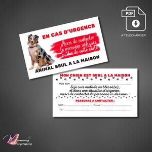 carte d'alerte à télécharger pour organiser la prise en charge de votre chien resté seul à la maison