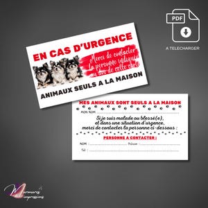 carte d'alerte à télécharger pour organiser la prise en charge d'animaux restés seuls à la maison, motif chiwawa