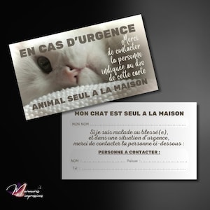 Carte d'urgence pour organiser la prise en charge de votre chat blanc en cas de problème grave vous empêchant de communiquer