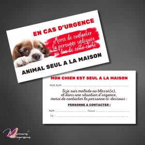 Carte d'urgence pour organiser la prise en charge de votre animal de compagnie en cas de problème grave vous empêchant de communiquer