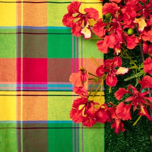 Puede incluir: Una colorida tela a cuadros en rojo, amarillo, verde y marrón, con una ramita de flores rojas brillantes sobre un fondo verde. La tela tiene un patrón de cuadros con líneas que se cruzan.