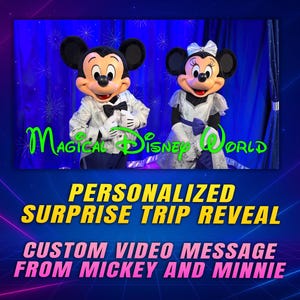 Video di presentazione del viaggio a Disney World Orlando, messaggio a sorpresa personalizzato da Topolino e Minnie, annuncio di un viaggio magico personalizzato in Florida