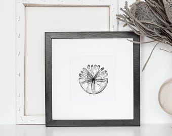 Sand Dollar Ocean Beach House Art Poster | Coastal Nautical Wall Decor