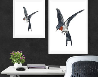 Könnte beinhalten: Zwei gerahmte Aquarelldrucke von Vögeln im Flug. Die Vögel haben dunkelgraue Flügel, rote Brust und weiße Bäuche. Das Kunstwerk wird vor einer dunklen, strukturierten Wand ausgestellt. Die Rahmen sind weiß.