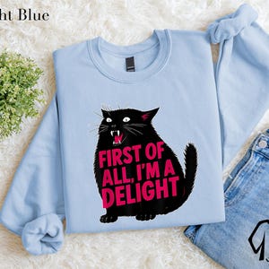 A light blue sweatshirt with a graphic of a black cat and the text "FIRST OF ALL, I'M A DELIGHT" printed on it. The sweatshirt is laid out on a white surface, along with a pair of jeans and a potted plant.