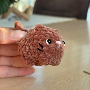 May include: A small, handmade brown crochet cat with black whiskers, white eyes, and a pink nose. The cat has a rounded body and a small tail. The plush toy is held in a hand.