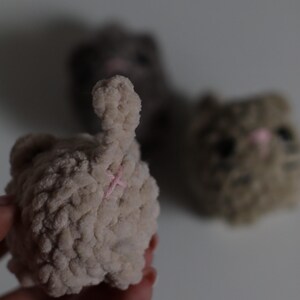 May include: Close-up of a light beige crocheted cat butt with a pink cross-stitch detail. Another similar cat butt is slightly out of focus in the background. The cat butts are handmade and likely part of a larger collection.